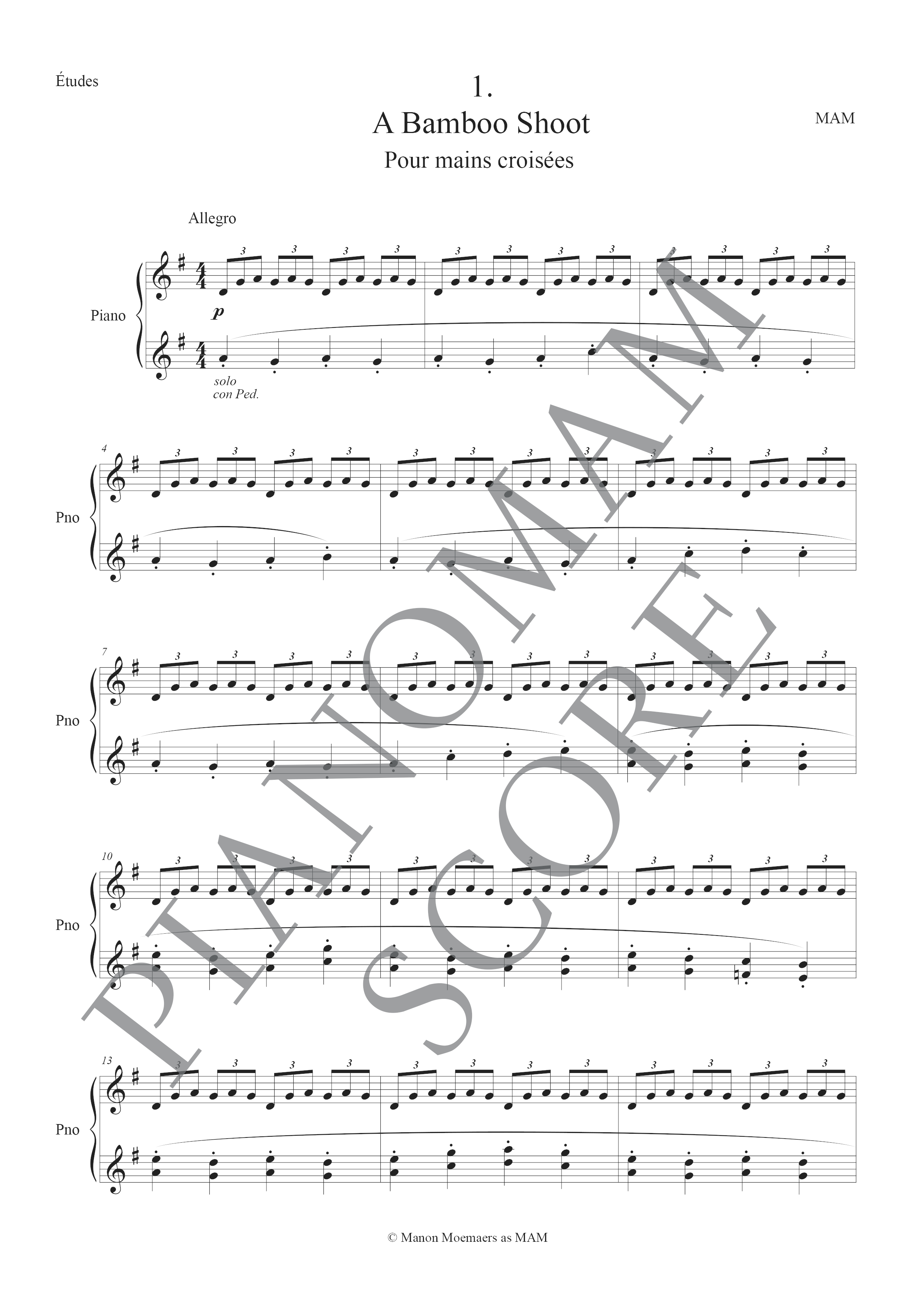 Etude n°1 : A Bamboo Shoot